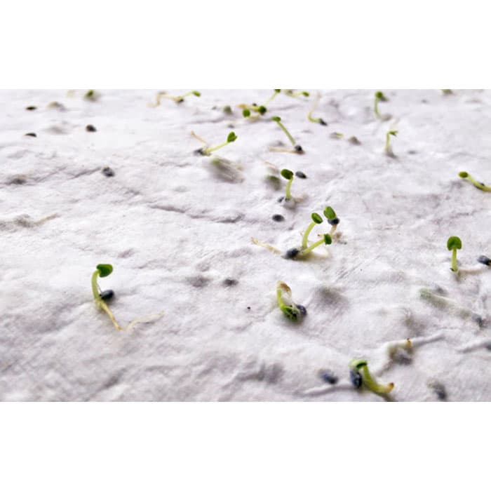 ASIDE-Blocs, llibretes i notes adhesives