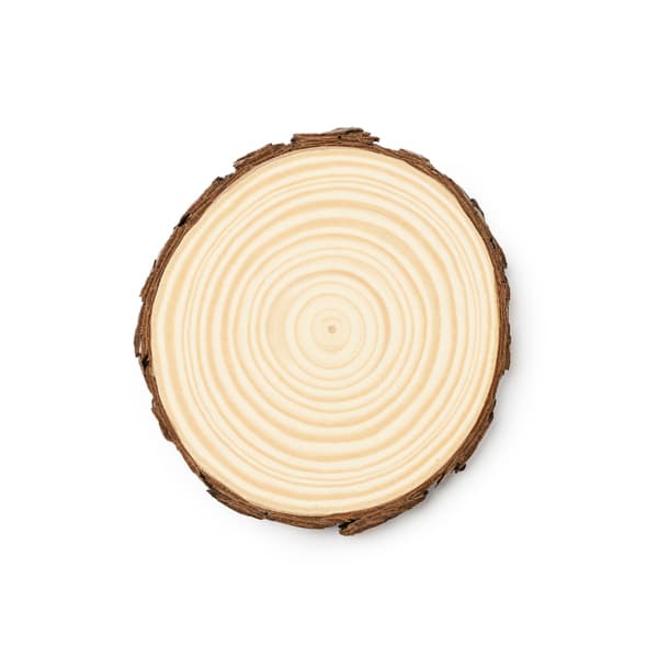 PINEA-Set